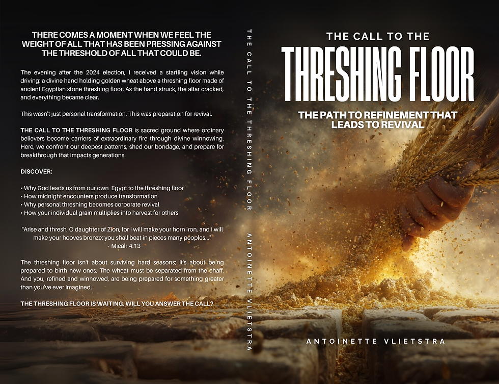 book cover.png
