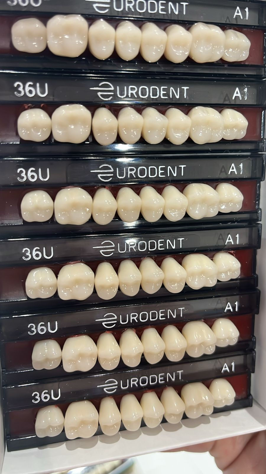Miniatura: Dente Eurodent 
