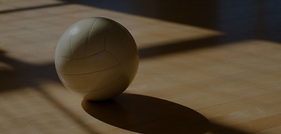 Court Ball_edited.jpg