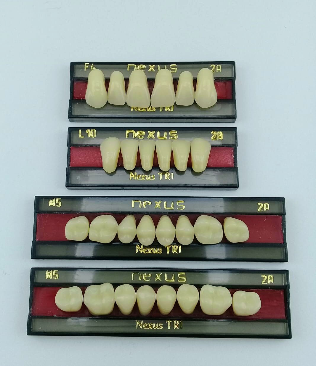 Dente Nexus Tri 
