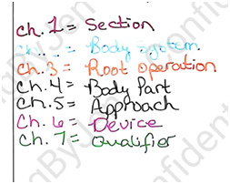 Thumbnail: PCS Notes with Study Examples Inpatient Procedure Code Guideline Notes