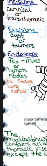 Thumbnail: Respiratory Notes section medical coding certification billing notes