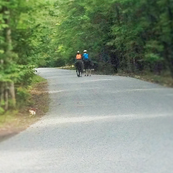 road.png