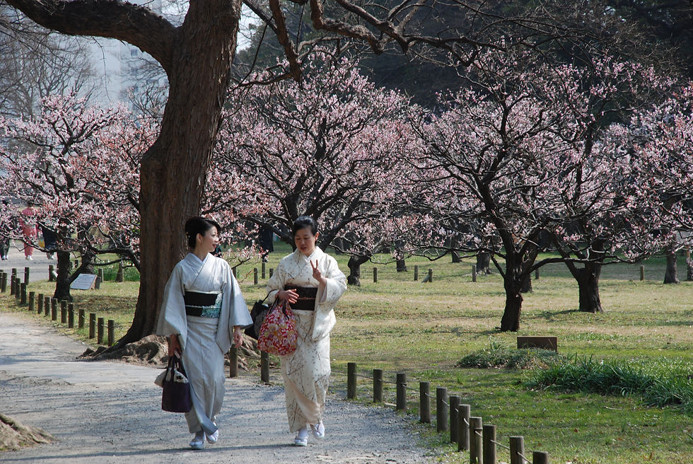 Dos mujeres pasean en el jardín Hamarikyu durante el Hanami. Foto de Álvaro Samaniego