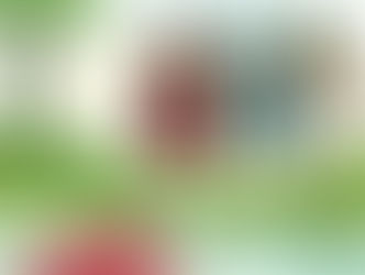 Parashat Bo – Vá (ao Faraó)