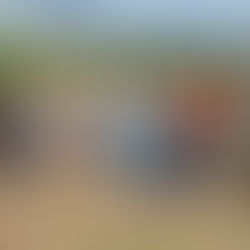 Tu Bishvat invade o encontro do Grupo Mishpachá