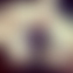 Parashat Nasso פָּרָשַׁת נָשׂא - 5783