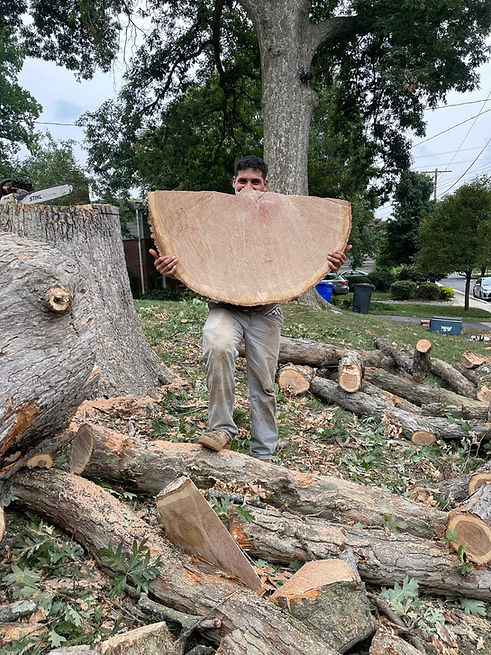 Imagen de WhatsApp 2023-12-03 a las 19.36.49_807c9473.jpg