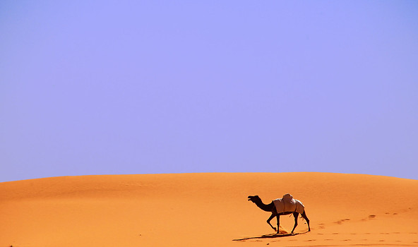 Authentic-Amazing-Travel