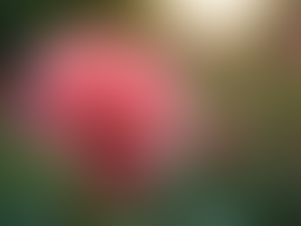 Unlocking the Magic of Love: An Enthusiastic Journey into It's Beautiful Mysteries