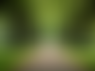 Essential Grants and Loans for Single Mothers to Launch Their Business