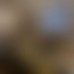 Josefina Araos (IES) analiza el malestar social en la segunda versión del ciclo