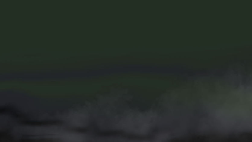 CLOSE UP FOG.jpg