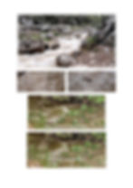 photos-gracia bejjani.jpg