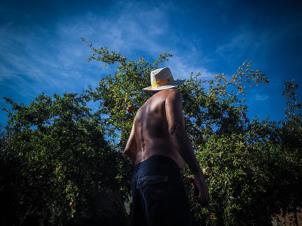 Photographie originale de Serge Teixeira, photographe bordelais passionné par l'univers des contes, développe des projets autour des processions et des carnavals espagnols.