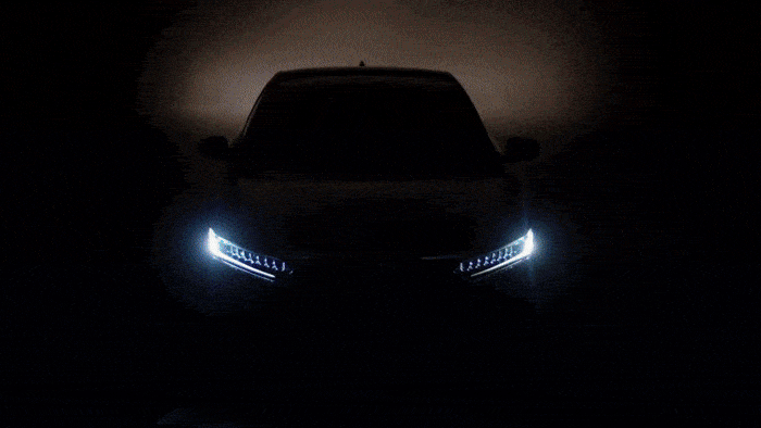 1fd873_8c63e2524996424da73434fefa5c4e26~mv2.gif