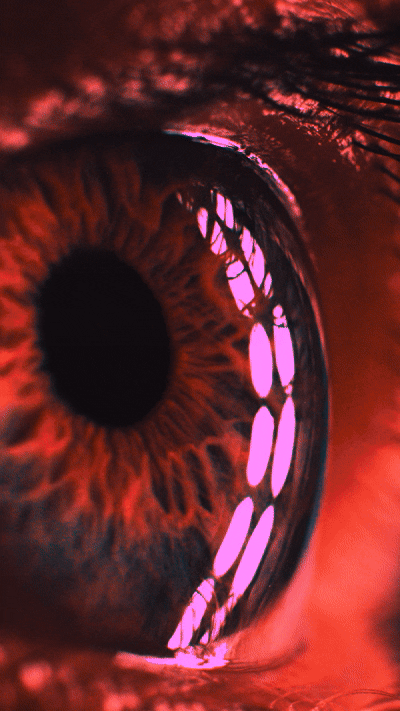 media3.gif