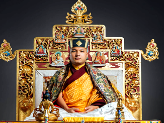 Mensagem do 17º Gyalwang Karmapa no seu trigésimo sexto aniversário.