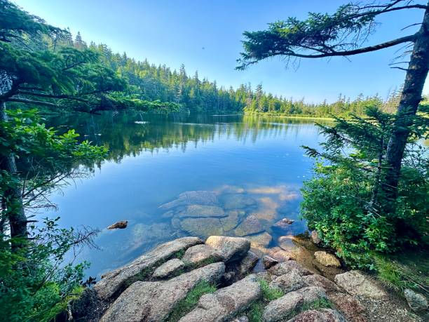 bangor pond