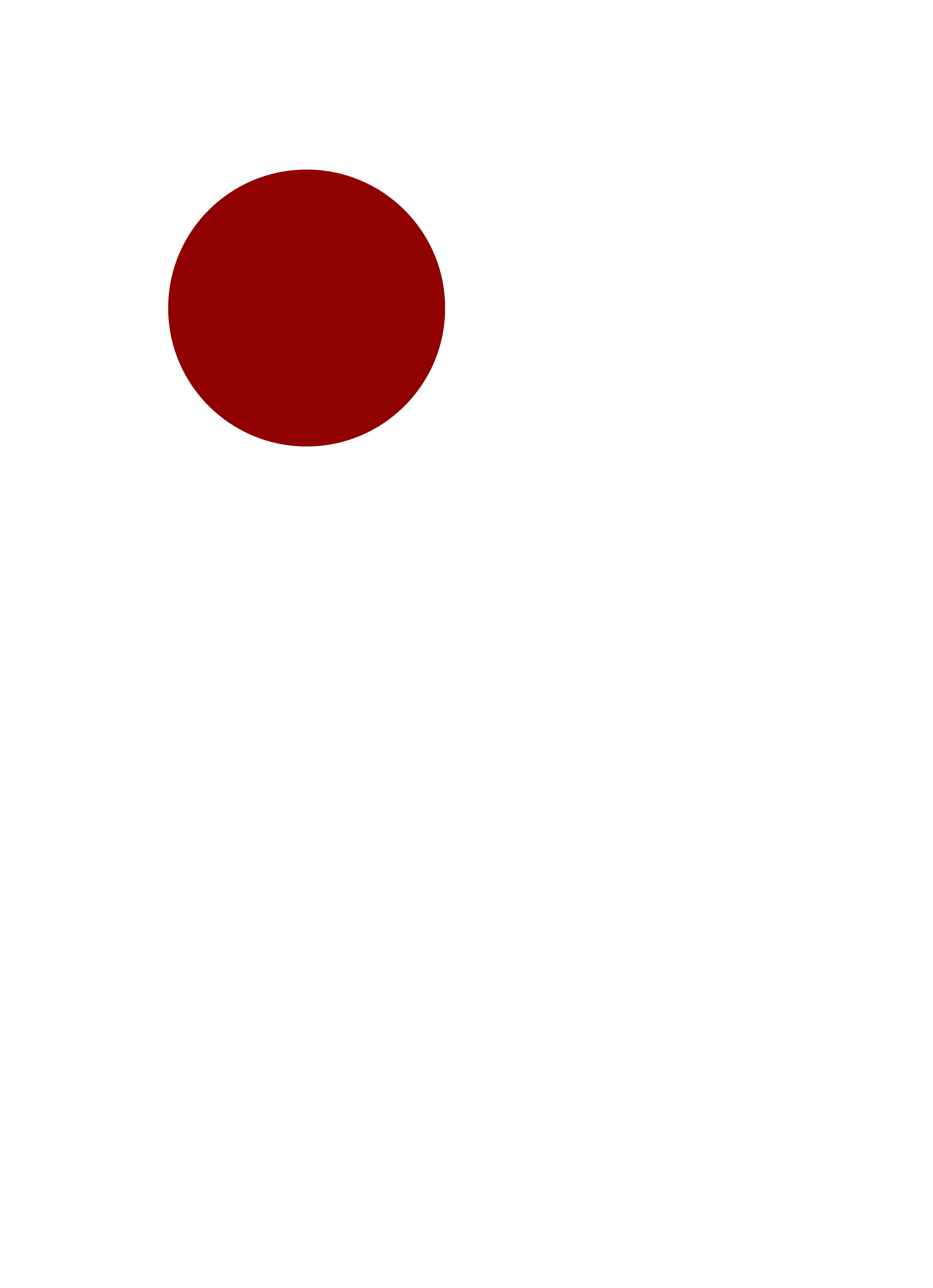 rising north studio_logo-03.png
