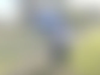 UQ student lab exchange: Josh Okoye