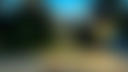 Übung der DLK Mannschaft