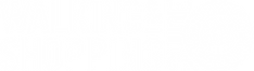 LOGO WSG - White - Eng.png