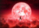 Red world of Bulbbul