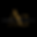Affordable Black Logo.png