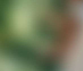 Tai Chi for Stress Relief