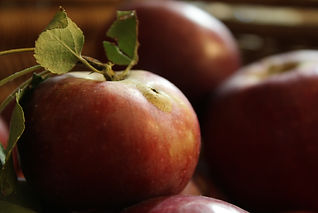Homegrown Apples