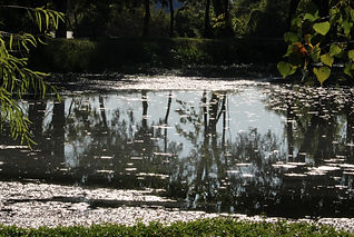 Pond