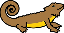 Unleash Your Dragon England Bearded Dragon Clothing