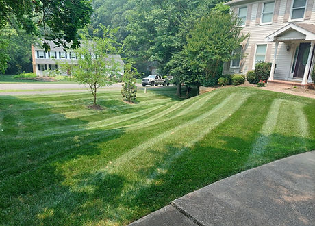 Lawn Mowing