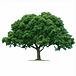 cropped-Favicon-Johannes-Hoeve-Baarlo.png