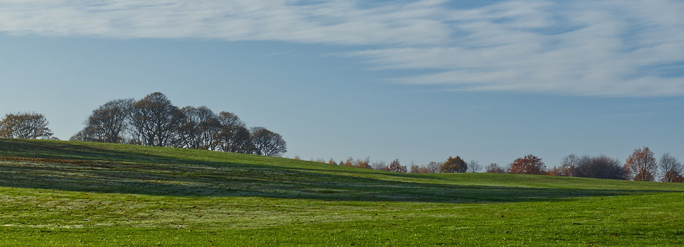beaux-arbres-sur-la-colline-couverte-d-herbe-sous-les-nuages-dans-le-ciel.jpg
