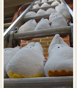 L'invasion des Youmis clones !
