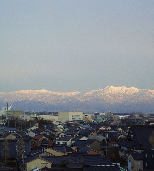 DSC00345.jpg