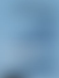 The Day the World Looked Away