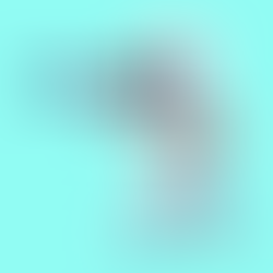 Anúncios pagos ou orgânico? Entenda quando usar cada um.