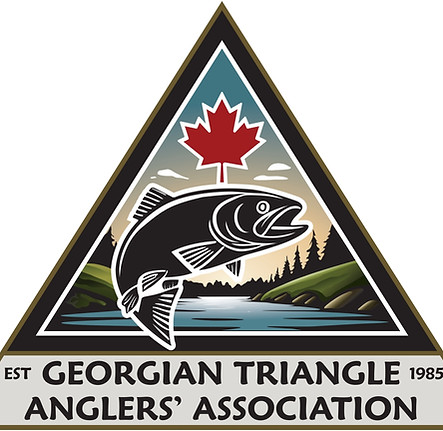 GTAA - Logo File_page-0001.jpg