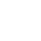 WOLFSON PARTNERS WHITE.png