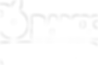 Recurso 11.png