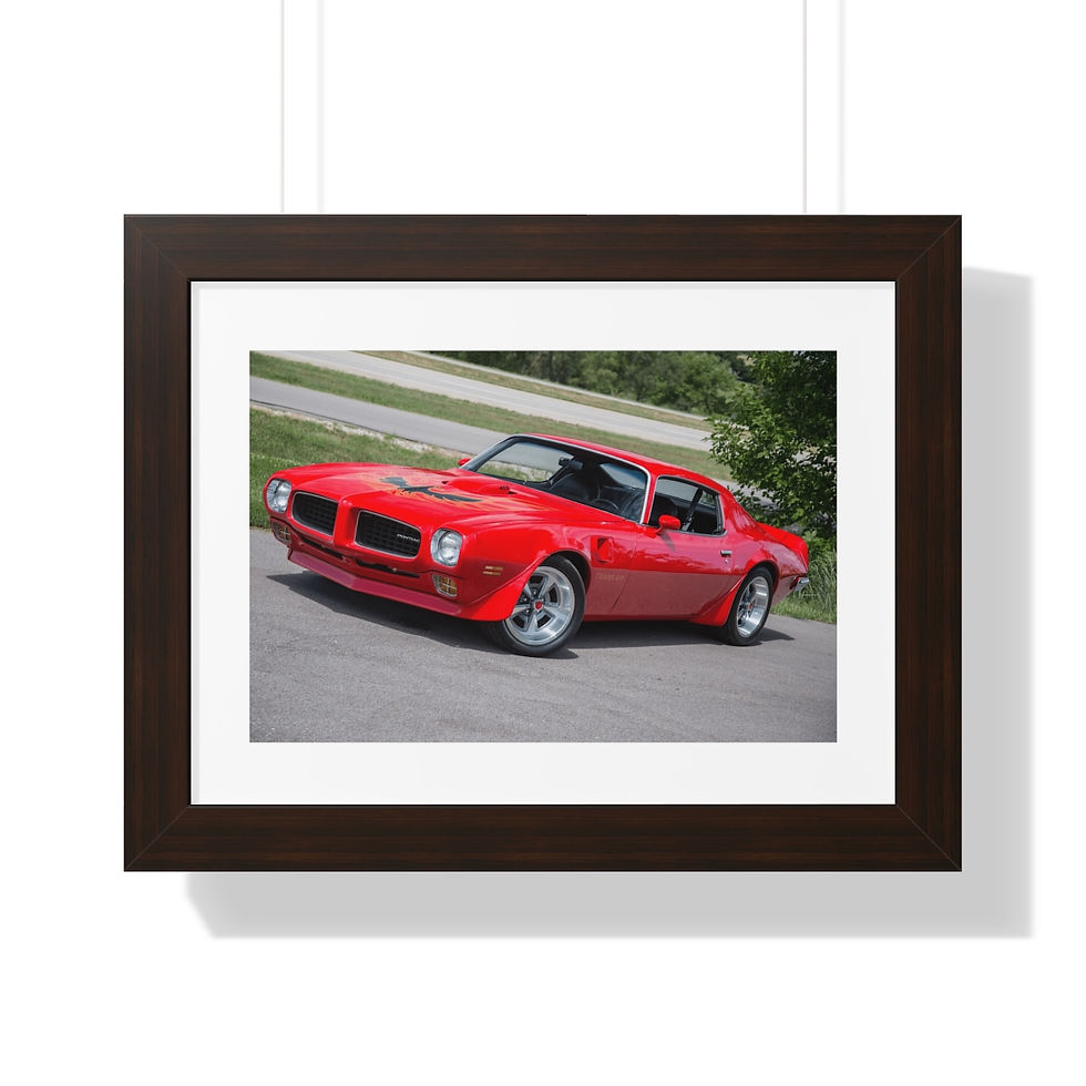 Thumbnail: Framed 1973 Pontiac Trans-Am - Muscle Car