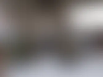 Looking to the Future / Regarder vers l'avenir