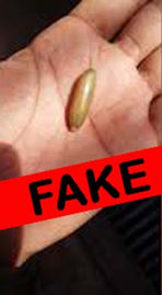 Fake Baans Mani bamboo mani all fake