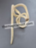 Taika Mool - The Magical Root Ultra Rare Biggest Size