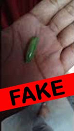 Fake Baans Mani