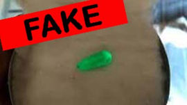 Fake Baans Mani fake bamboo pearl easily available in market