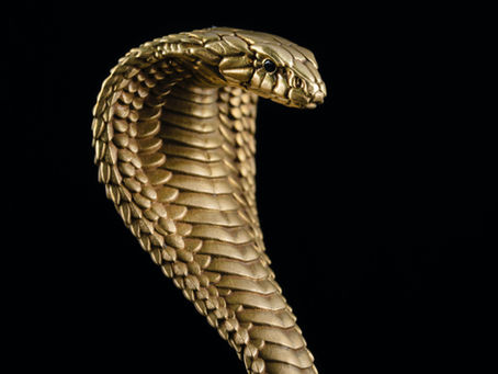Cobra Pearl Meaning: The Truth About Naagmani, Snake Stones, and Their Hidden Powers